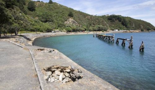 Debate about future of Wellington's Shelly Bay continues on as new poll findings shared