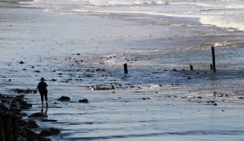 Councillor pushes for return of beach's famed poles to halt erosion