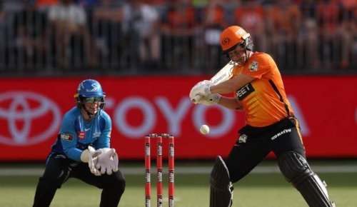 'Easy choice': White Ferns star Sophie Devine extends stay with Women's BBL champions Perth Scorchers