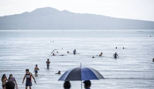 Eleven Auckland beaches black flagged for sewage