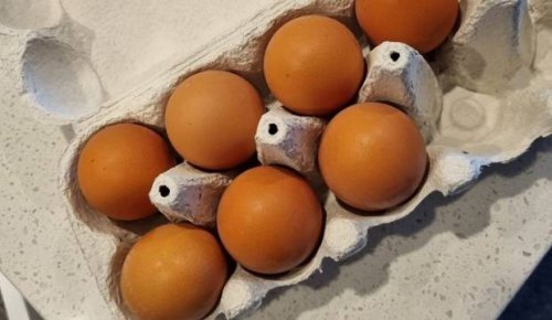 Seven eggs for $150? The national egg shortage hits Te Anau