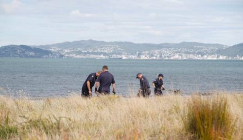 Police unable to find any items linked to foot found on Petone Beach