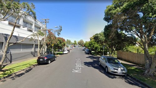 Pedestrian dies after being run over in Auckland driveway