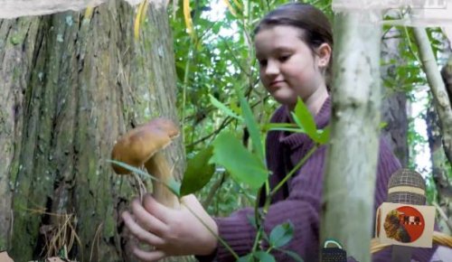 Kea Kids News: Hunter-gatherer child shares how to forage for food-safe fungi