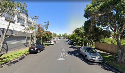 Pedestrian dies after being run over in Auckland driveway