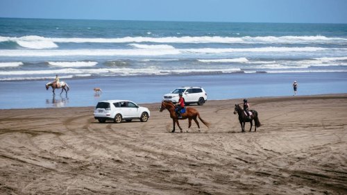 Auckland's Muriwai Beach could close to cars for good as council mulls options