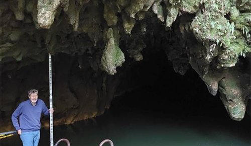 New visitor to Waitomo Caves is most defintely not welcome