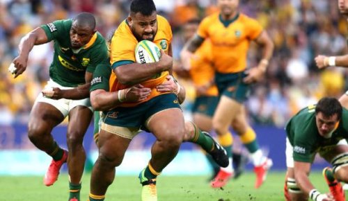 Wallabies show Dave Rennie effect is working against lost Springboks