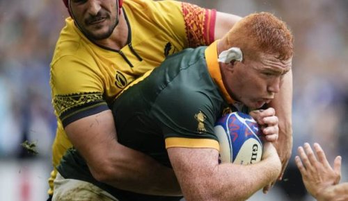 Debunking rugby's great myth: This is not a game for all shapes and sizes