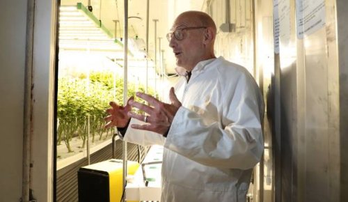 Mataura medicinal cannabis factory attracting uni grads