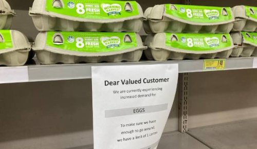 No yolk: Store scrambles to stop cruise employees buying up town's egg supply