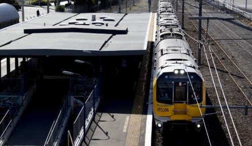 Seal on tracks cancelled Wellington train on Tuesday morning