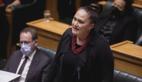 Government has 'no concerns' as Kāinga Ora forecasts unaffordable debt-levels for 60 years