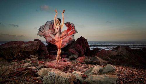 Culture Calendar: What to make time for in Auckland this August
