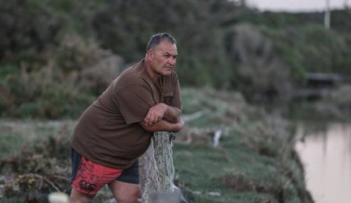 'They're burying their shame': Farmer furious as regional council buries thousands of dead eels