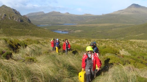 The ‘fragile’ Kiwi islands you may not have heard of, and why they are important