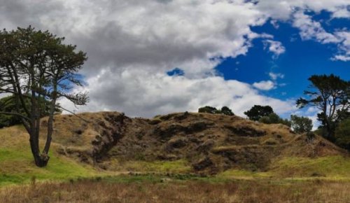 Exotic tree removal will restore mauri to Ōtāhuhu/Mt Richmond: Maunga Authority