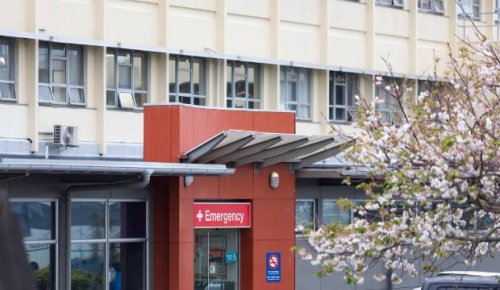 Woman who was discharged from ED with kidney stone diagnosis and later died in hospital failed by DHB, doctor - report