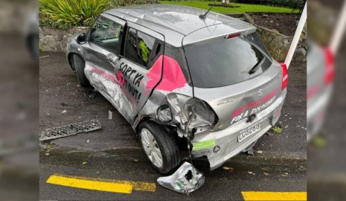 Man alleged to have rammed New Plymouth parking warden's car appears in court