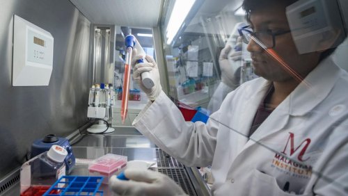 ‘People are dying’: Why this company wants to be ‘the Rocket Lab of immunotherapy’