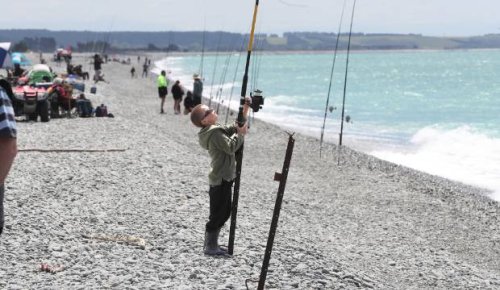More participants and more catches at Waimate's Hook Beach fishing contest