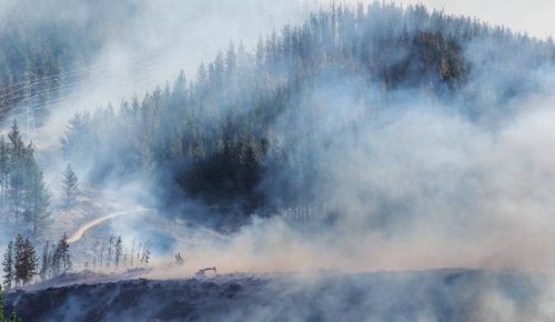 Christchurch Adventure Park loses appeal, must pay almost $14m to homeowners after Port Hills fire