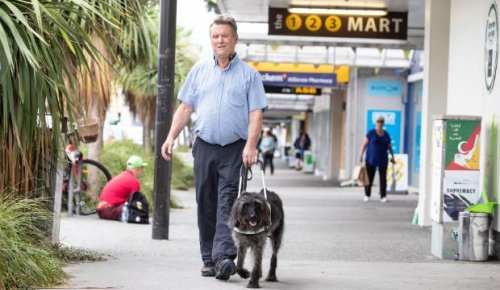 Blind man demands answers after Thrifty denies him and guide dog a rental car