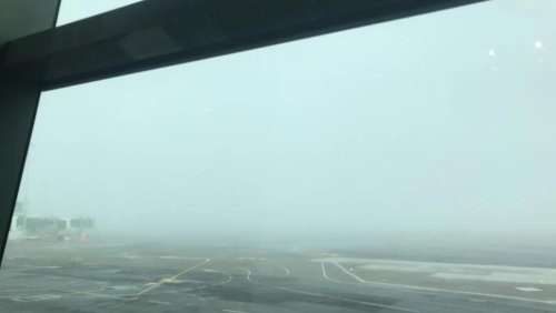Fog delays flights to Christchurch