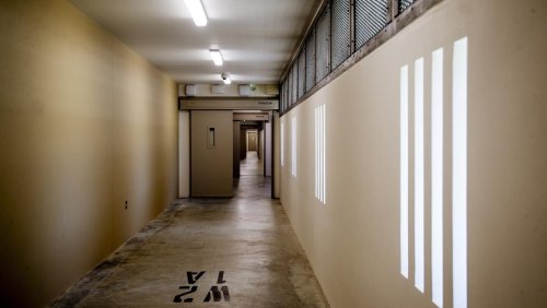 Conditions at Auckland Prison labelled ‘inhumane’ by lawyer after investigation reveals inmates being denied basic rights
