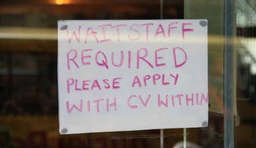 NZ jobseekers' 'remarkable' run set to continue with borders shut; Trade Me