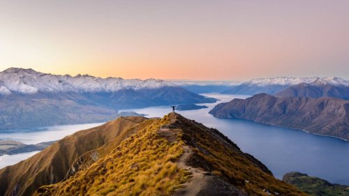 'Can I become a citizen?': World reacts to Tourism New Zealand's plea to ditch influencer shots