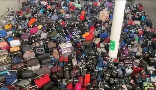 'I wish I knew before I flew': Global airport luggage woes reach New Zealand