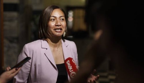 Green Party co-leader Marama Davidson knocked over by motorcyclist