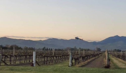 'Welcome to Blenheim': noisy night part of life in wine country