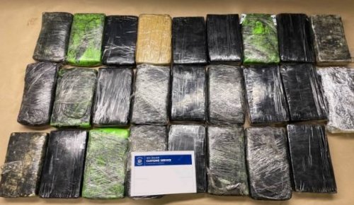 Over 25kg of cocaine seized in Tauranga after customs investigation