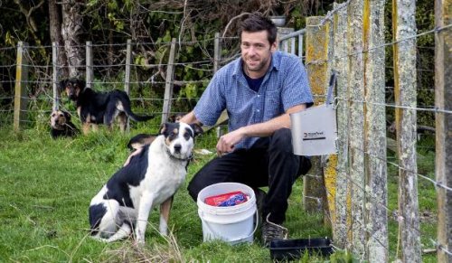 One less job to do: Automatic dog feeder frees up farmers' time