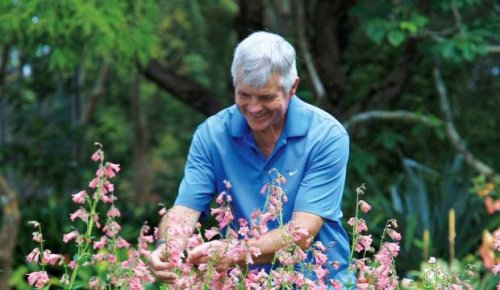 Live: Our garden experts answer more of your spring gardening questions