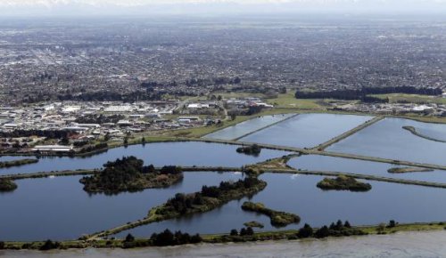 Work to ease putrid stench in east Christchurch delayed by air freight trouble