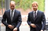 Prinz Harry und Prinz William: Brachte Englands Achtelfinalsieg die Brüder zusammen?