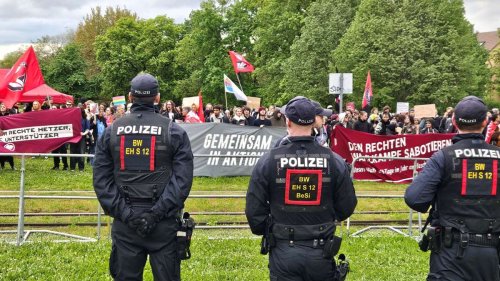 Demonstration im Cannstatter Kurpark: Verbot von AfD-Veranstaltungen in Gebäuden der Stadt gefordert