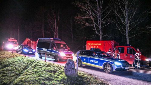Ortenaukreis: Zweijähriger nach Suchaktion unverletzt im Wald gefunden