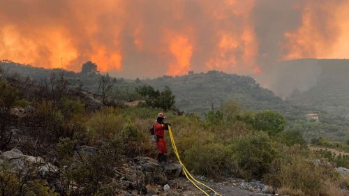 Spanien: Waldbrand an der Costa Blanca breitet sich aus