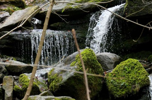 Geheimnisvolles Stuttgart: Die Heslacher Wasserfälle sprudeln kräftig