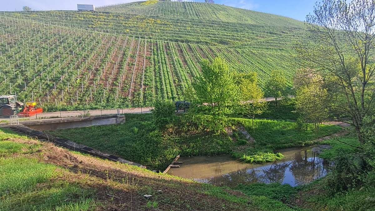 Nach stundenlanger Suche in Stuttgart: Junge Frau in Untertürkheimer Weinbergen tot aufgefunden