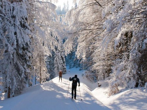 Von Langlauf bis Schneeballschlacht: Diese Wintersportarten verbrennen am meisten Kalorien