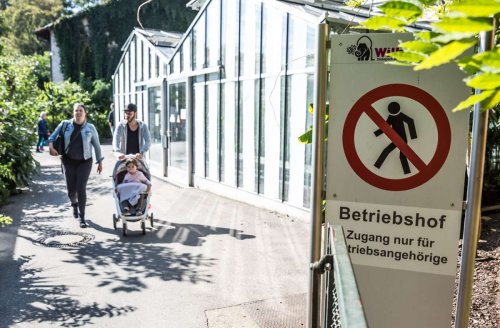 Zoo in Stuttgart: Die Wilhelma übt für den Notfall