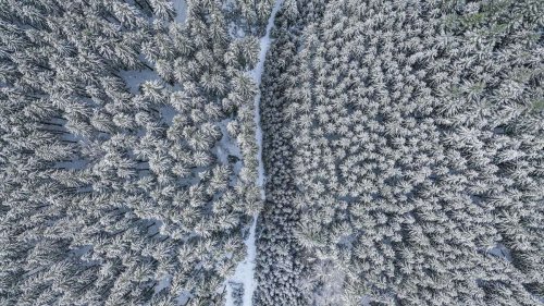 Wintereinbruch in Baden-Württemberg: Artic Outbreak im Südwesten?