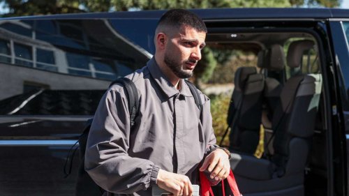 Nationalspieler des VfB Stuttgart: Fünf VfB-Profis auf fremdem Terrain unterwegs