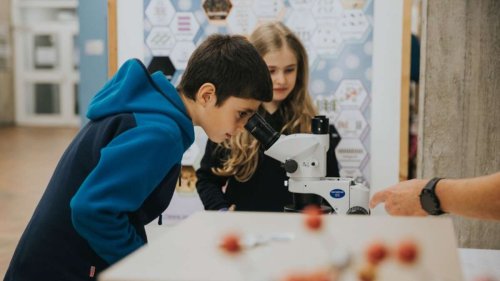Tag der Wissenschaft: Die Uni Stuttgart öffnet ihre Türen