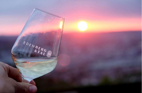 Guter Wein: Fünf Freunde machen einen Weißwein in Stuttgart